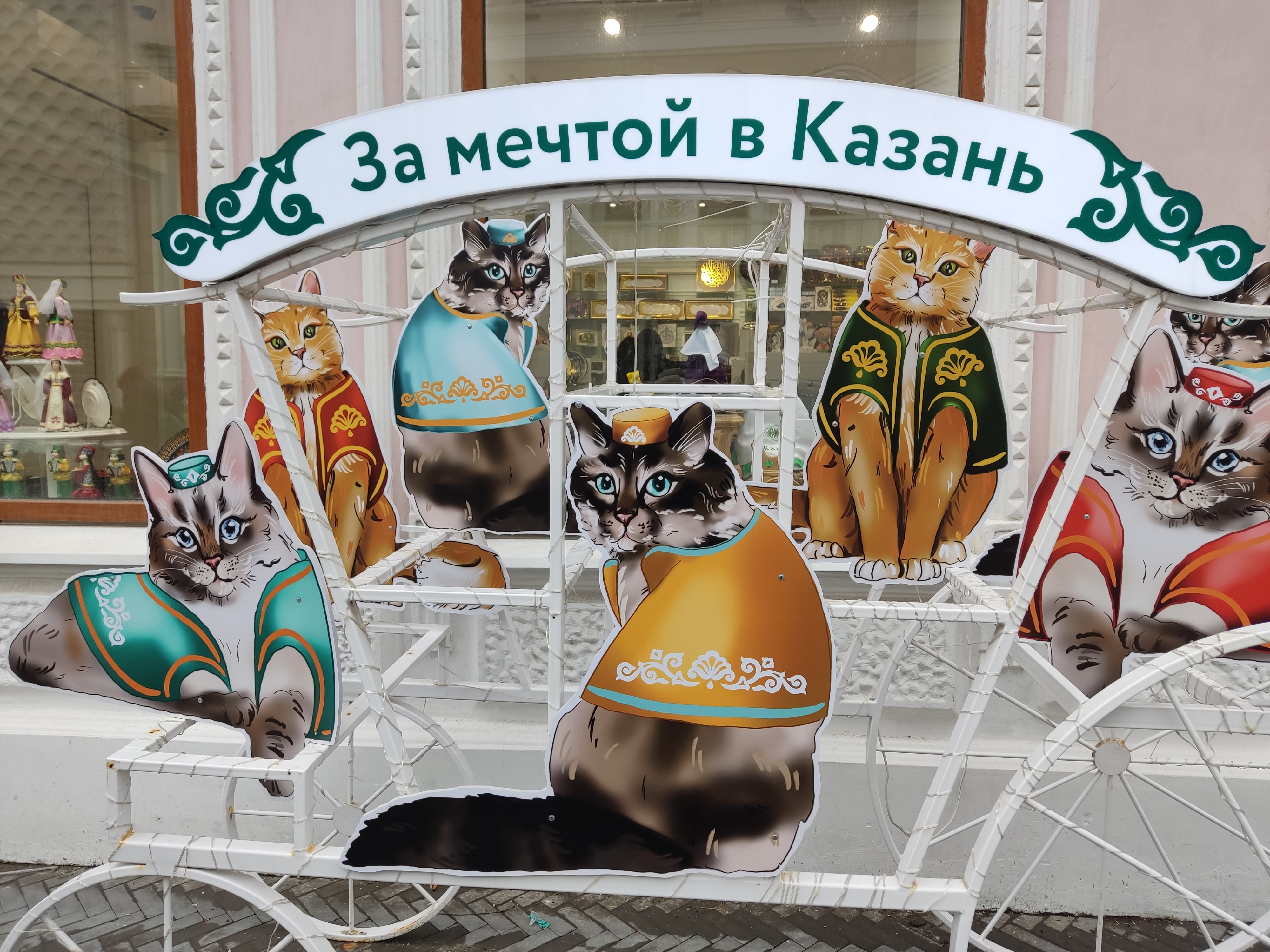 Казанские котики